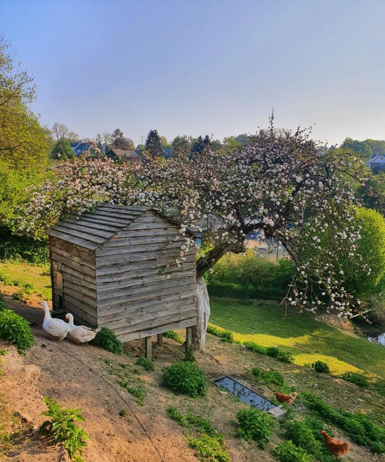 La Maison Du Sabotier Custinne Eksteriør bilde